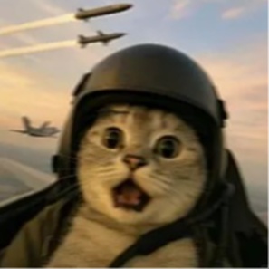 はなさき's avatar